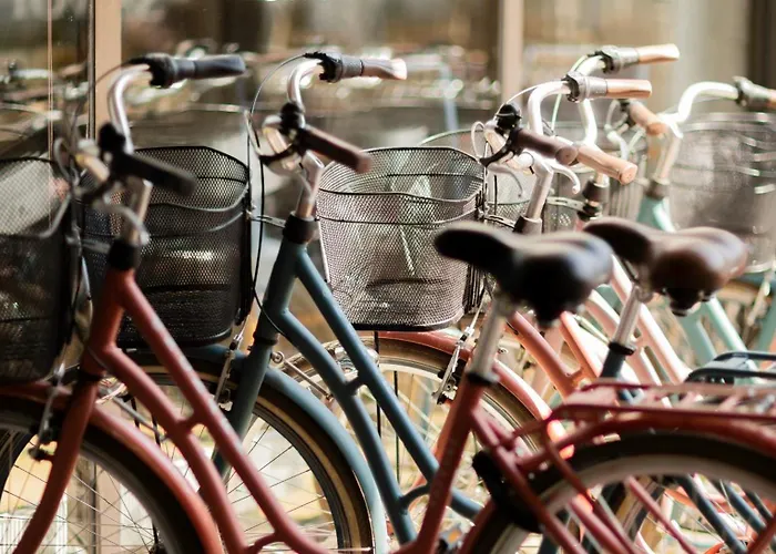 فندق Savoy مارييهامن